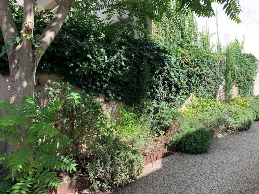 Appartement Natural En Centre Avec Et Jardin