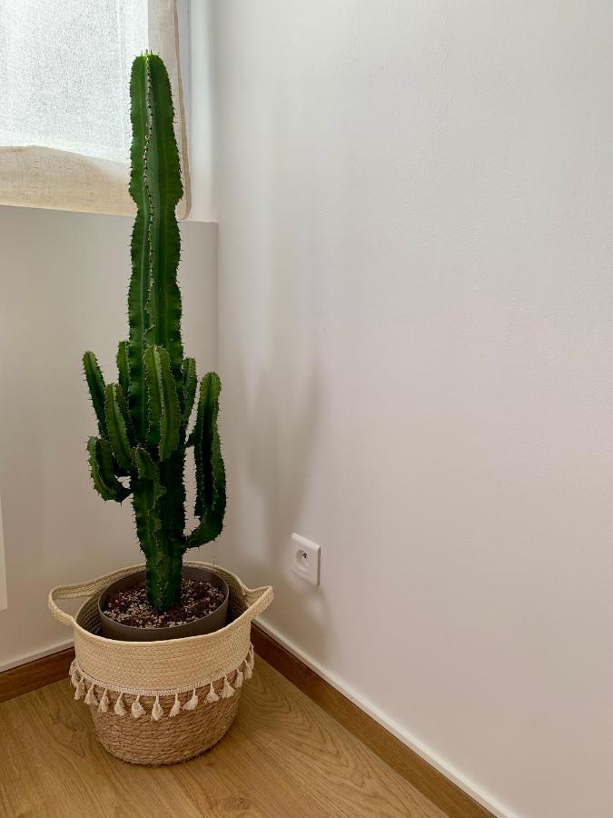 Natural En Centre Avec Et Jardin Appartement *